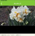 「この花の名前はなに?」写真を撮って花の名前がわかるAI機能「教えて!カメラ」 判別できる植物の種類が2倍に