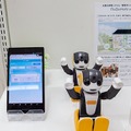 ロボホンの販売台数は1万2千台、右肩上がりに成長中！お留守番や英語学習など新機能を大幅に追加