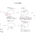 ユカイ工学の「Qooboファンミーティング」に行ってきた！ 開発秘話や新製品の構想も