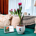【Google Tulip】グーグルがGoogleアシスタント経由で花と会話できるサービスを発表【エイプリルフール】