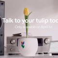 【Google Tulip】グーグルがGoogleアシスタント経由で花と会話できるサービスを発表【エイプリルフール】