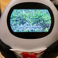 執事見習いロボット「タピ太」実機レビュー！高齢者や家族向け会話ロボットとしてユーキャンが販売