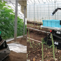 inahoの野菜収穫ロボット、リリース直前の最新動画を公開、収穫時間が半減、スリム化、積載量は10倍