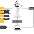 Pepperがドライバーの健康を管理する 運送業向け点呼支援&健康管理システムが開始