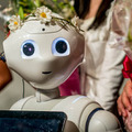 <p>シェア 0 ツイート 0 はてブ 0</p>