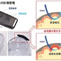 脳活動センサーとスマホアプリ「BrainMeter」発売、脳活動を手軽に測定！脳トレの川島教授と日立HTの技術を結集