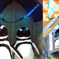 <p>シェア 0 ツイート 0 はてブ 0</p>