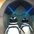羽をパタパタ、須磨水族園のペンギン型ＡＩ解説ロボットが夏休みに帰ってくる！試験運用でわかった課題とその対策とは
