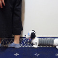 飼い主の後ろをついてくる不思議な犬型ロボットトイ「おいでよ ボンゴ！」アコーディオンのように伸び縮み