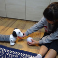 飼い主の後ろをついてくる不思議な犬型ロボットトイ「おいでよ ボンゴ！」アコーディオンのように伸び縮み