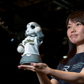 【ロボコレ2019 写真レポート(1)】20社総勢80体のロボットのファッションショー全部見せます！Sota、ATOM、Tapia、uniboなど