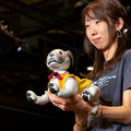 【ロボコレ2019 写真レポート(3)】公式ファッション初公開のロボットも!Qoobo、Relay、Robi、aiboなどが登場