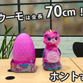 <p>シェア 0 ツイート 0 はてブ 0</p>