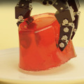 やわらかいモノをやさしく掴むロボット技術「リアルハプティクス AbcCore」搭載モジュールの提供開始　ネクスティ