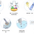 ロボットのためのAI「COREVERY」エクサウィザーズが提供開始　持つ、測る、塗る、盛り付けなど可能に　国際ロボット展で公開
