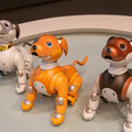 aiboがロボット掃除機やブラビア、セコムとAPI連携するとどんなことができる? ソニーが少し未来っぽい生活をデモ公開