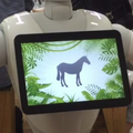 動物なきマネクイズ02