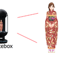 Gateboxを成田空港でビジネス活用　国立歴史民俗博物館の3Dキャラ「もみちゃん」が「江戸図屏風」を解説