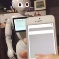 <p>シェア 0 ツイート 0 はてブ 0</p>