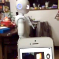 pepper remote control 02
