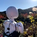 オリィ研究所、遠隔操作型の分身ロボット「OriHime」の個人向け版レンタルキャンペーンを開始 先着30名限定
