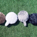 「Petit Qoobo」(プチ・クーボ)が我が家にやってきた　小さな鼓動を感じる生命感！「Alexaと即興コラボ」してみた【レビュー】