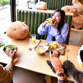 カピバラやレッサーパンダとの相席でソーシャルディスタンス、離れる目安はカピバラ2頭分で！伊豆シャボテン動物公園