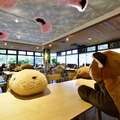 カピバラやレッサーパンダとの相席でソーシャルディスタンス、離れる目安はカピバラ2頭分で！伊豆シャボテン動物公園