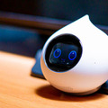 予想外の会話が楽しめる自律型会話ロボット「Romi」(ロミィ) 速攻レビュー！