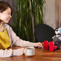 ロボユニがロボット本体と公式ウェアのレンタルサービス「ROMOTTO」を開始　一般ユーザーと法人ともに対象
