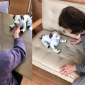 ロボユニがロボット本体と公式ウェアのレンタルサービス「ROMOTTO」を開始　一般ユーザーと法人ともに対象