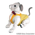 ソニーのロボットペット「aibo」向けウェア　ロボット用アパレルブランド「ロボユニ」から発売