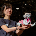 ソニーのロボットペット「aibo」向けウェア　ロボット用アパレルブランド「ロボユニ」から発売