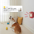 AIを活用した愛犬見守り用サブスクサービス「Furboドッグシッター」鳴き声や異常の検知、人物検出など 500頭以上の愛犬の命を救う