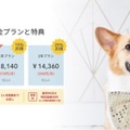 AIを活用した愛犬見守り用サブスクサービス「Furboドッグシッター」鳴き声や異常の検知、人物検出など 500頭以上の愛犬の命を救う