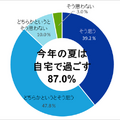 掃除ロボットのルンバやブラーバのアイロボット社「床掃除の意識調査」を公開　夏の掃除の悩みは? 除菌を意識した掃除が常識に?