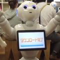 占い02