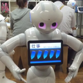 占い06