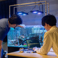 東京オフィスビルで久米島のサンゴの人工抱卵を実現　世界初のIoT活用で時期制御した人工産卵へ　東大発ベンチャーのイノカが発表