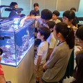 東京オフィスビルで久米島のサンゴの人工抱卵を実現　世界初のIoT活用で時期制御した人工産卵へ　東大発ベンチャーのイノカが発表