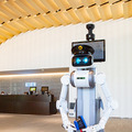 京急本社で警備/案内ロボットの実証実験　遠隔操作と自動運転で巡回と案内、検温も　シークセンスの警備ロボとMiraのアバターロボ