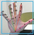 手のポーズや描いたジェスチャーで入力　21関節と骨格構造をベースに画像認識するジェスチャー入力が次世代UIに!? Motion Gestures