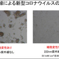 【速報】広島大学病院「紫外線Care222は新型コロナウイルスの不活化に有効」世界に先駆けて発表　ウシオ電機の製品で実証