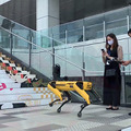 ボストンダイナミクスの犬型ロボット「SPOT」大型商業施設に現る　歩くだけでも注目度抜群「HANEDA INNOVATION CITY」