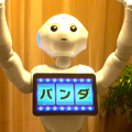 151229_pepper_slot004