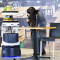 広瀬すずが自動運転の配膳ロボット「Servi」を体験　感想は?　大好物の料理に笑顔で仰天　ソフトバンクロボティクス発表会