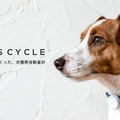 動物病院がつくった犬猫ペット用 IoT活動量計「プラスサイクル」新モデル発表 負担の少ないデザイン データ同期等のアプリ改善も