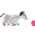 オリックス・レンテックが「aibo」(アイボ)の法人向けレンタルサービスを開始 プログラミング教育など、幅広い利活用を支援