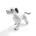 オリックス・レンテックが「aibo」(アイボ)の法人向けレンタルサービスを開始 プログラミング教育など、幅広い利活用を支援