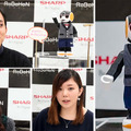 <p>シェア 0 ツイート 0 はてブ 0</p>